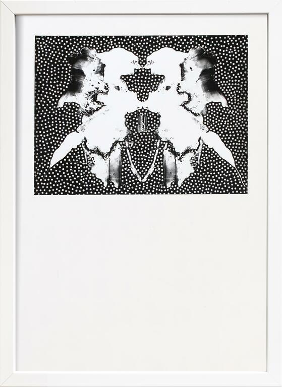 Catalogue raisonné, 