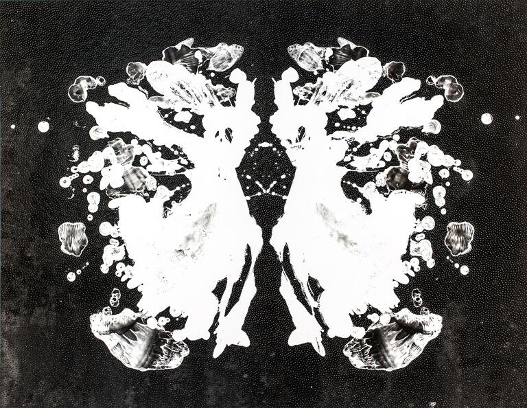 Catalogue raisonné, 