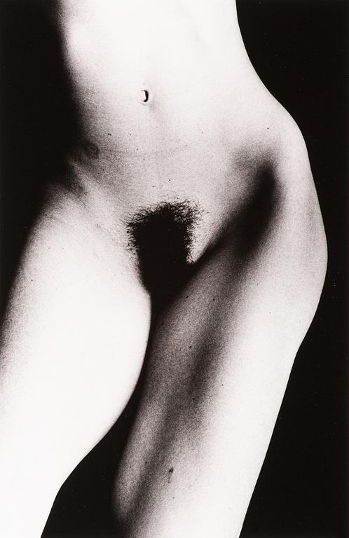 Catalogue raisonné, Corps 3 - 2003