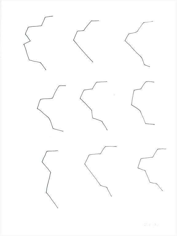 Catalogue raisonné, 
