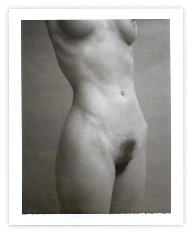 Catalogue raisonné, 