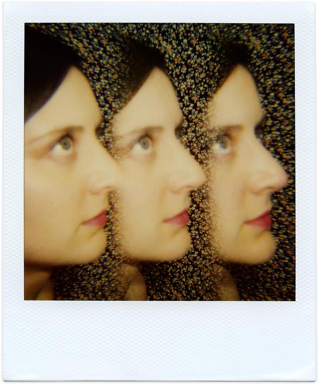 Catalogue raisonné, 