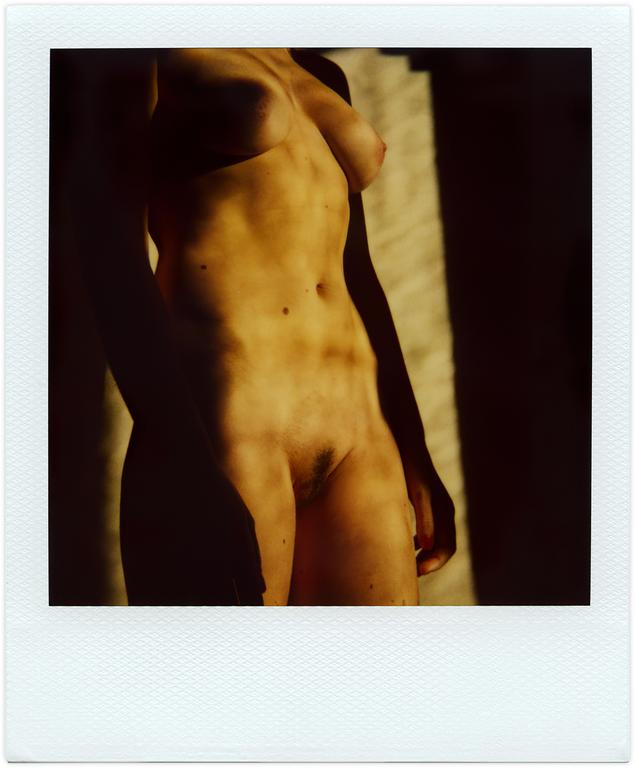Catalogue raisonné, Henri Foucault, Polaroid 26/12/2008/a