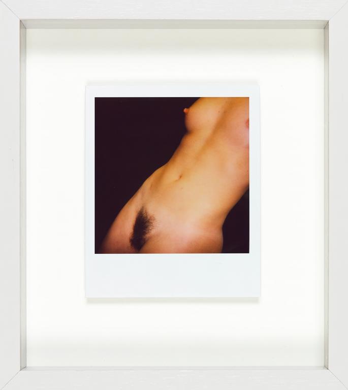 Catalogue raisonné, Henri Foucault, Polaroid 28 mars 2008/1