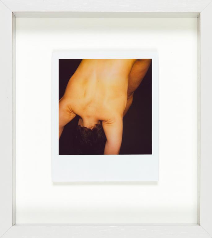 Catalogue raisonné, Henri Foucault, Polaroid 28 mars 2008/4