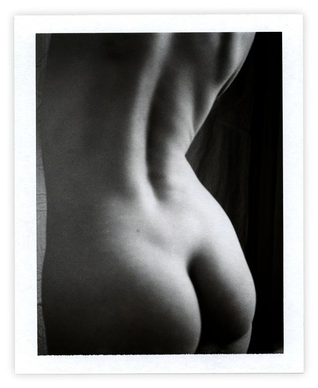 Catalogue raisonné, 