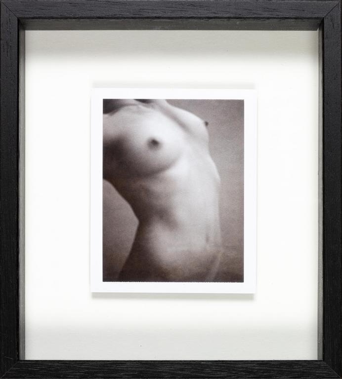 Catalogue raisonné, Henri Foucault, Polaroid 4 sept 2008