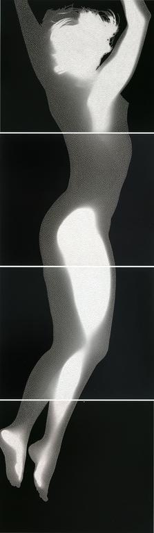 Catalogue raisonné, 