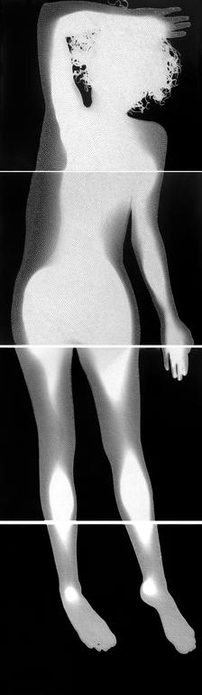 Catalogue raisonné, 
