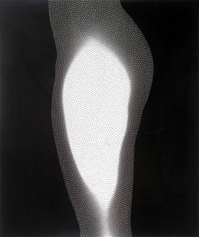 Catalogue raisonné, Henri Foucault, Satori n°12 - 2005