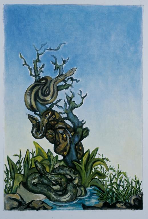 Catalogue raisonné, Serpent autour de l'arbre