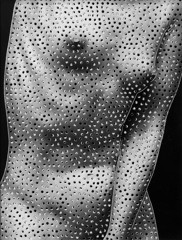 Catalogue raisonné, Torse, main devant - 2005
