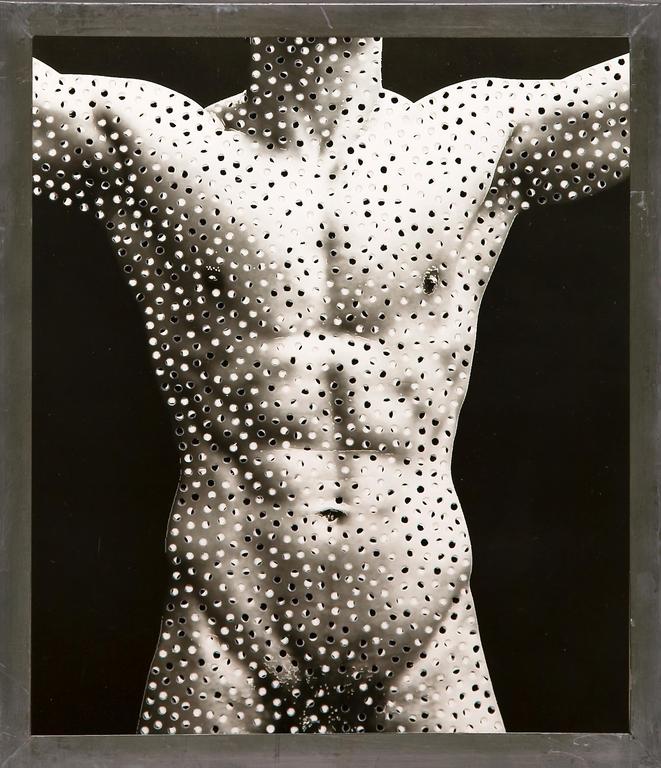 Catalogue raisonné, Henri Foucault, Torse - 2008