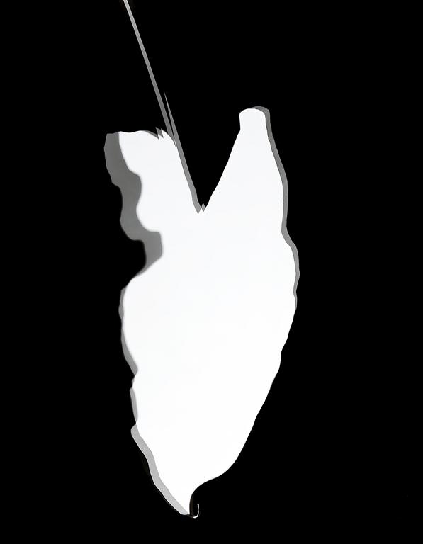 Catalogue raisonné, 