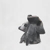 Isabelle Waldberg, Le Diable d'Autun, 1981-1982