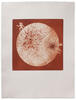 Henri Baviera, IL ETAIT UNE FOIS — 1978