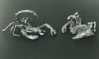 Scorpion et Cancer
