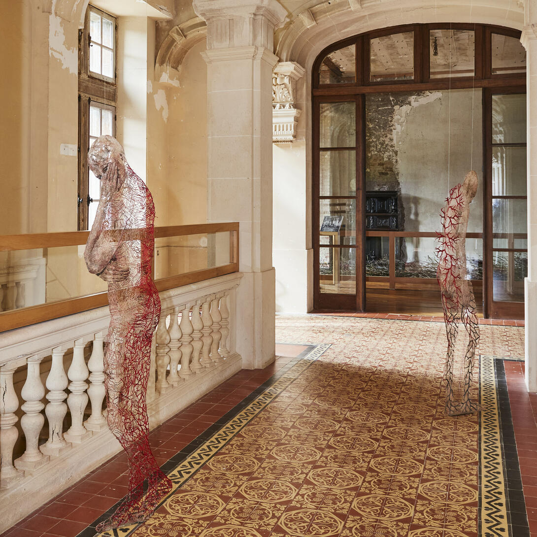 Biological message - Oeuvre de Raija Jokinen dans l'escalier d'honneur - Regard d'artiste 2022 - Philippe ROBIN - Domaine de Trevarez-31135