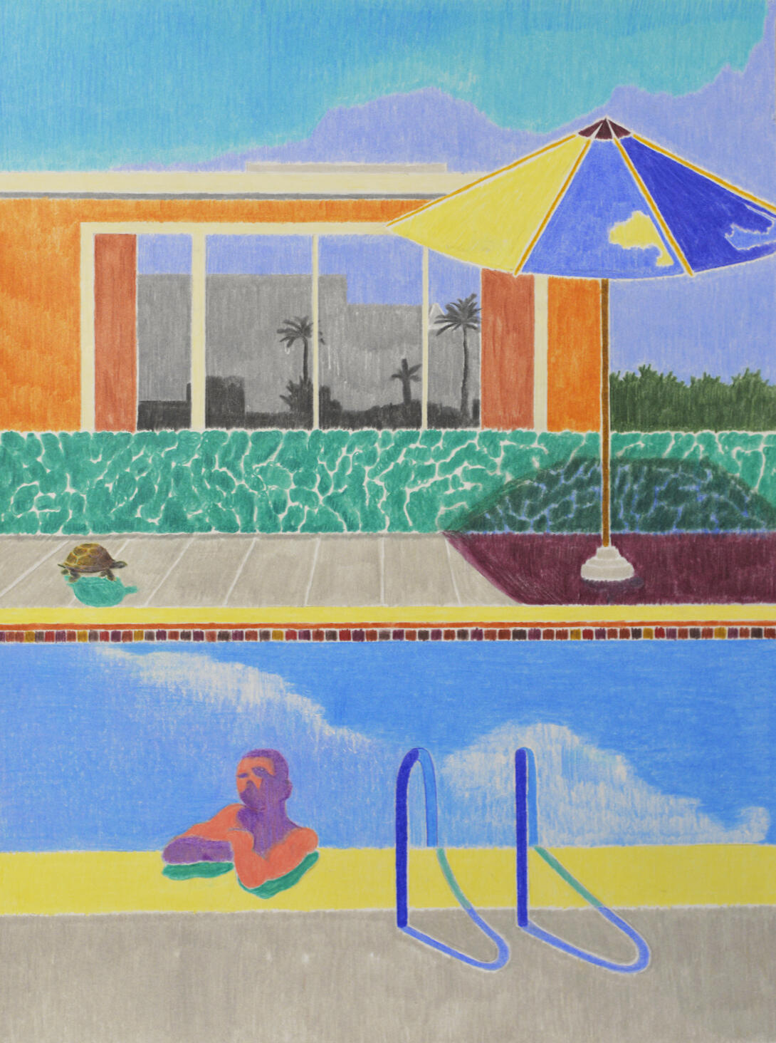 José Cori, David_s turtle, colored pencils on paper, 2022